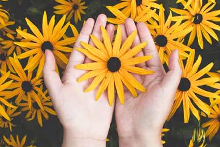 Casino 2026 - Volunteers Needed